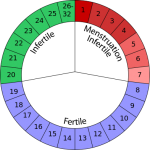 calcular dias fertiles regla irregular